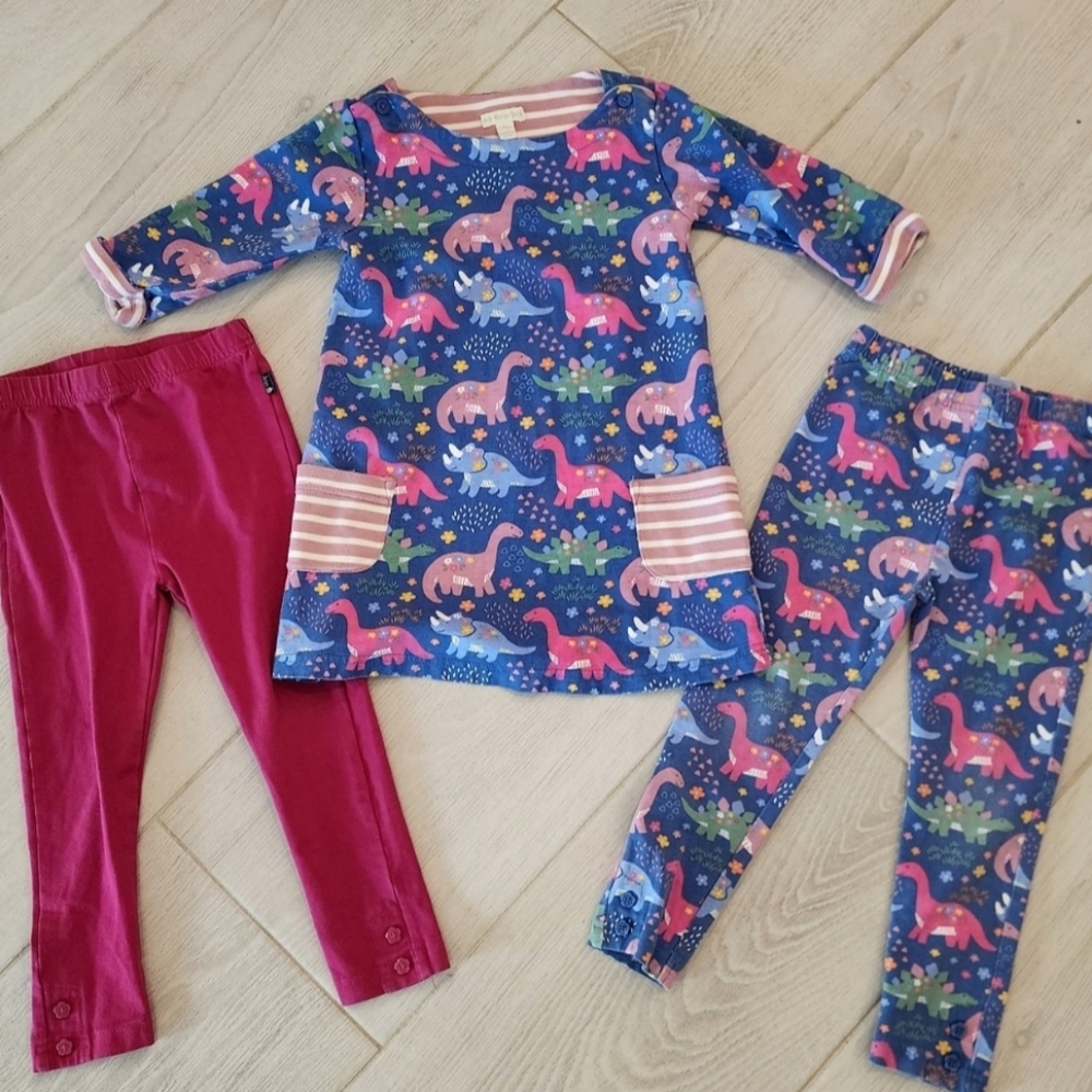 Dinosaur Print Dress and Leggings Set